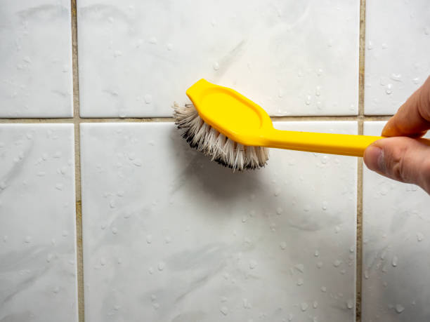 Best Basement Mold Remediation in Cary, IL