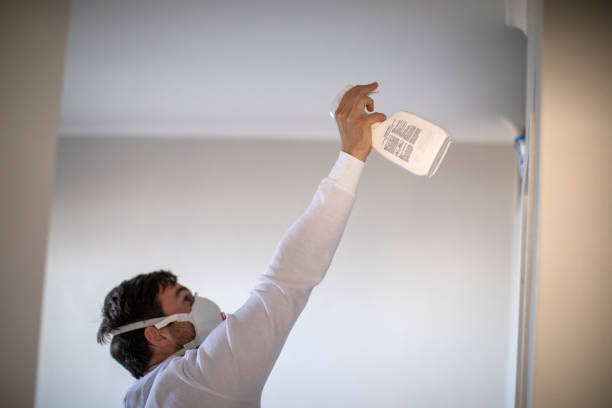 Best Localized Mold Remediation (e.g., coastal areas, humid climates) in Cary, IL