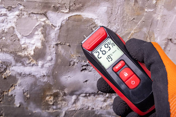Best Mold Remediation for Schools in Cary, IL