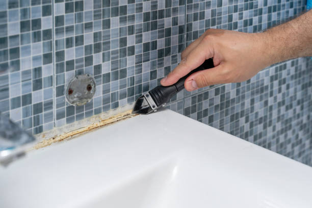 Best Emergency Mold Remediation in Cary, IL